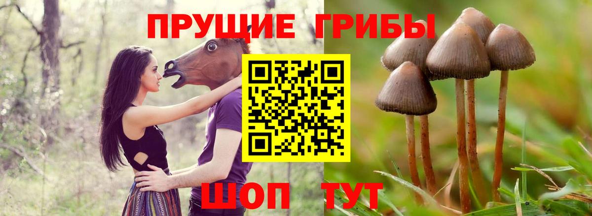 Псилоцибиновые грибы Magic Shrooms  Вход с VPN  Галлюциногенные грибы Psilocybe  Дербент 